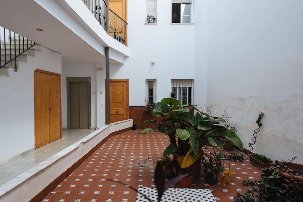 Acogedor Y Appartement